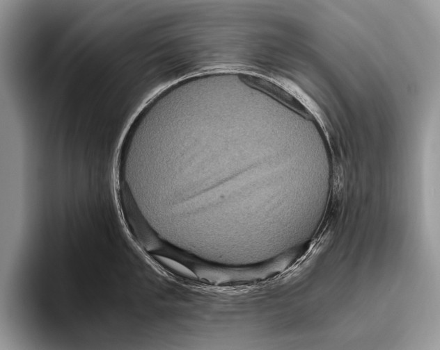 X0000095941005200802081233