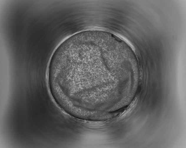 X0000095941007200802081233