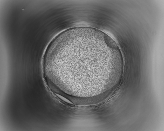 X0000095941008200802081233