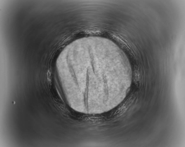 X0000095941010200802081233