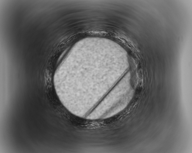 X0000095941013200802081233