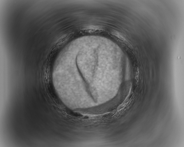 X0000095941014200802081233