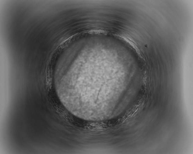 X0000095941015200802081233