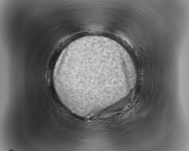 X0000095941016200802081233