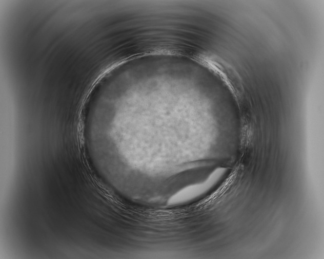 X0000095941019200802081233