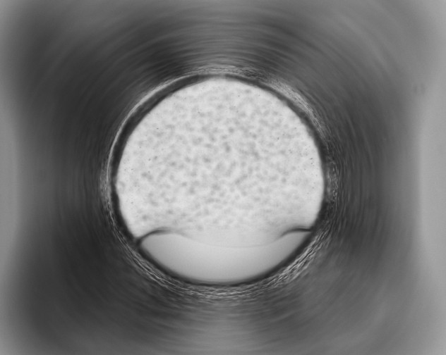 X0000095941020200802081233