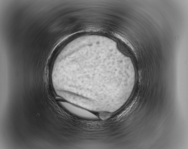 X0000095941021200802081233