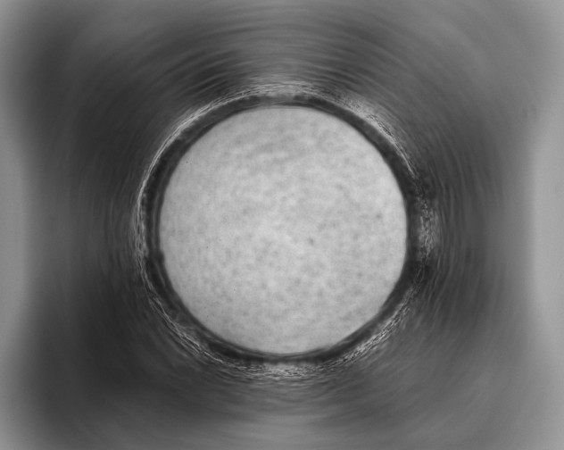 X0000095941022200802081233