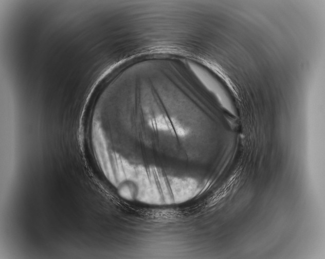 X0000095941024200802081233