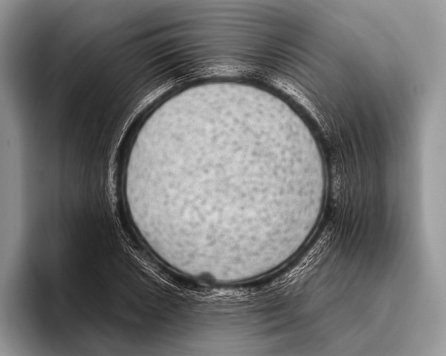 X0000095941026200802081233