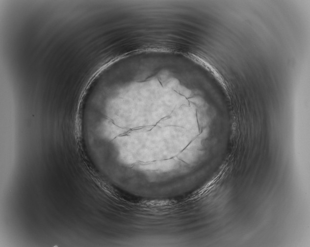 X0000095941027200802081233