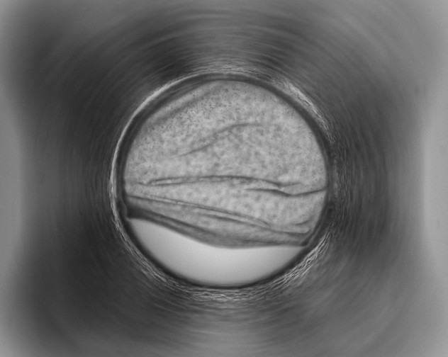 X0000095941028200802081233