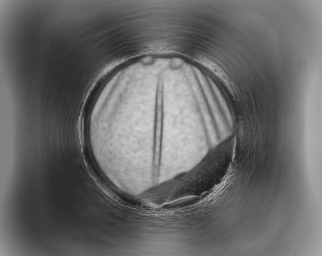 X0000095941030200802081233