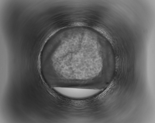 X0000095941031200802081233