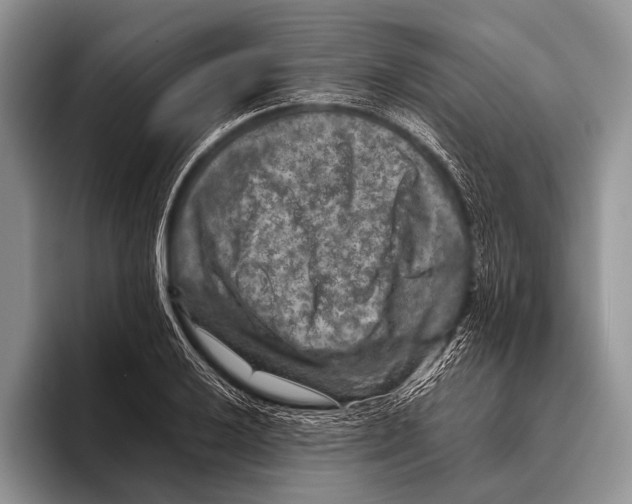 X0000095941032200802081233