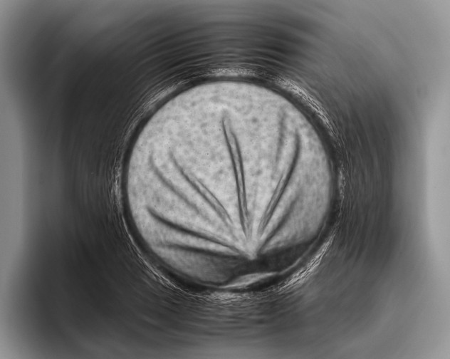 X0000095941033200802081233