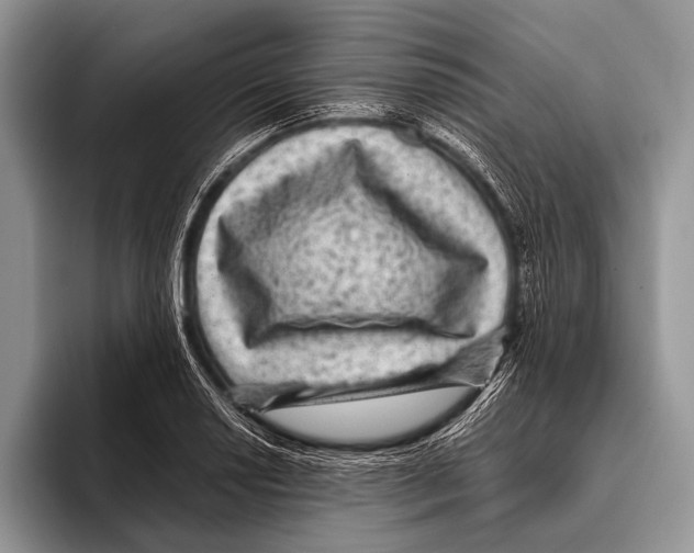 X0000095941034200802081233