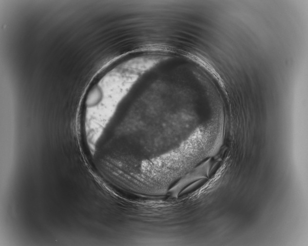 X0000095941037200802081233