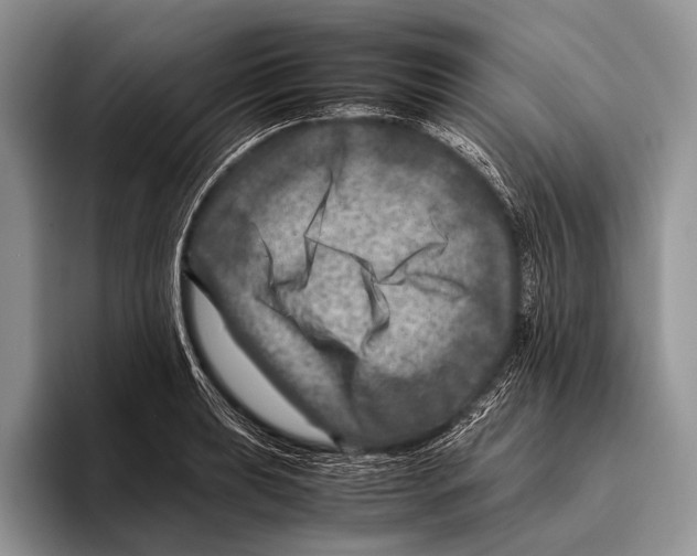 X0000095941039200802081233