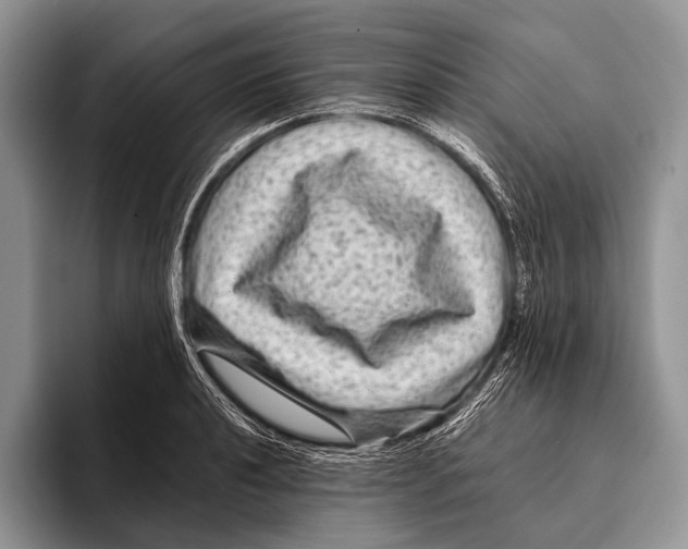 X0000095941040200802081233