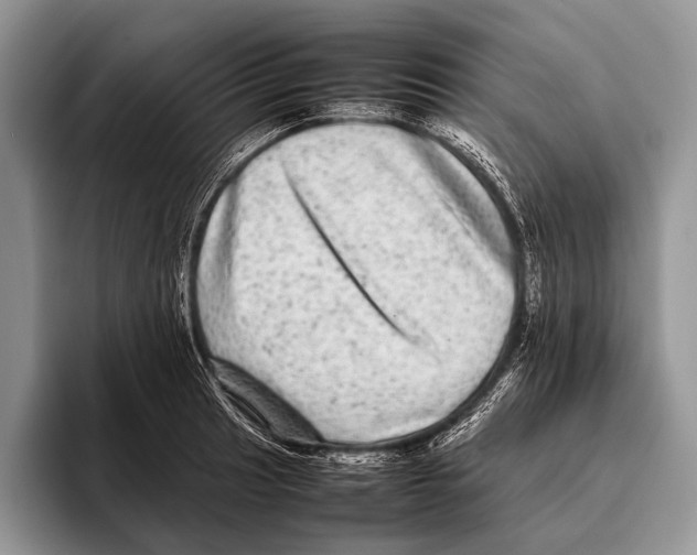 X0000095941041200802081233