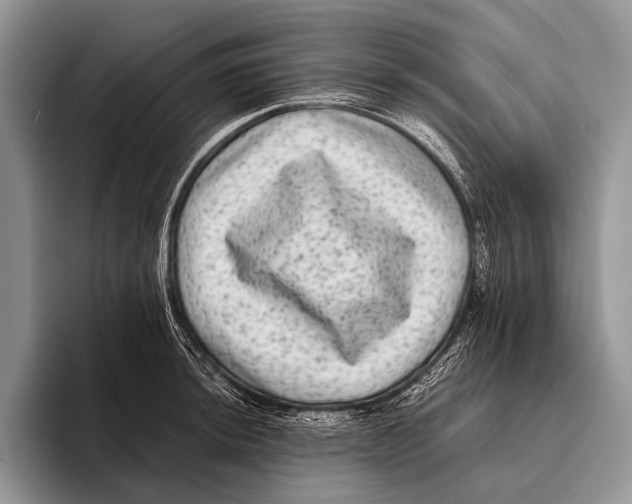 X0000095941044200802081233