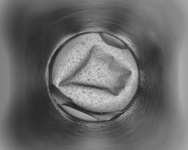 X0000095941046200802081233