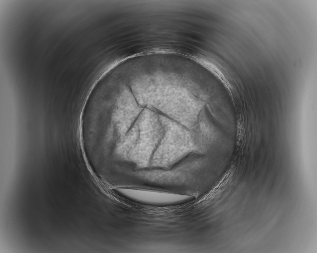 X0000095941047200802081233