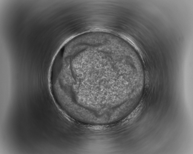 X0000095941048200802081233