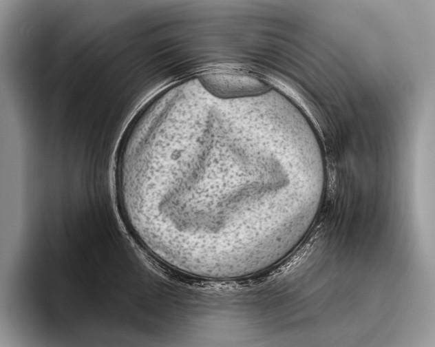 X0000095941050200802081233