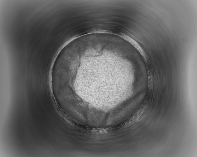 X0000095941051200802081233