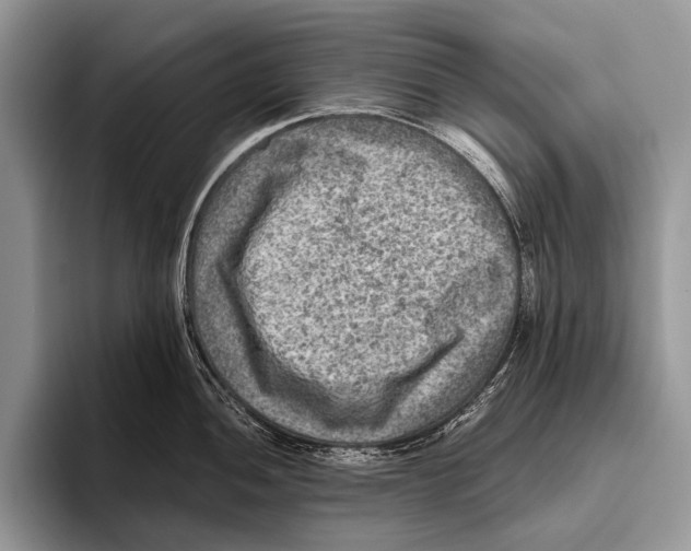 X0000095941052200802081233