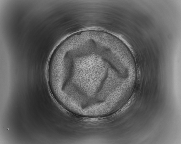 X0000095941054200802081233