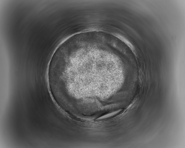 X0000095941055200802081233