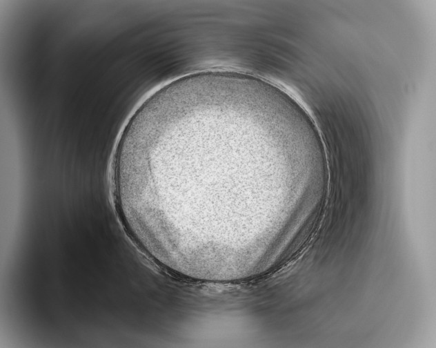 X0000095941056200802081233