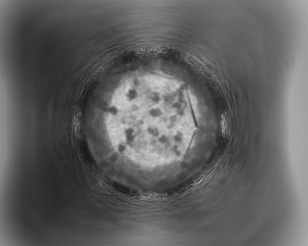 X0000095941059200802081233