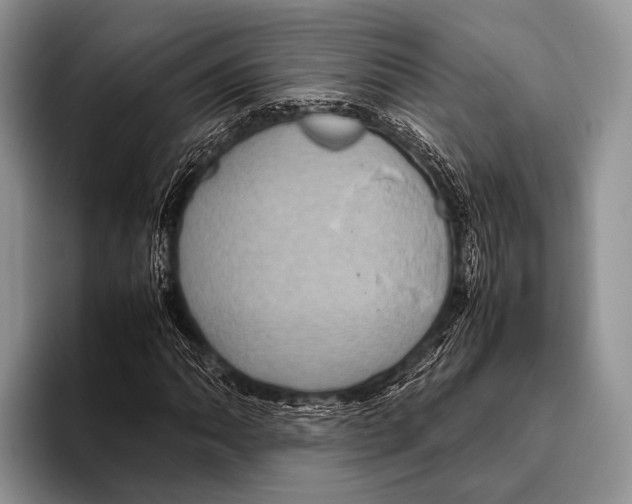 X0000095941062200802081233