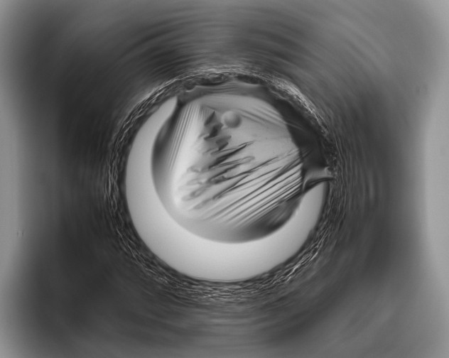 X0000095941064200802081233