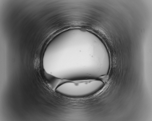 X0000095941065200802081233