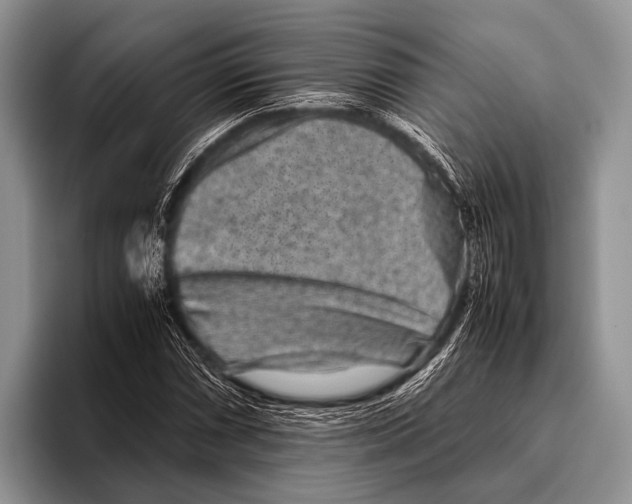 X0000095941066200802081233