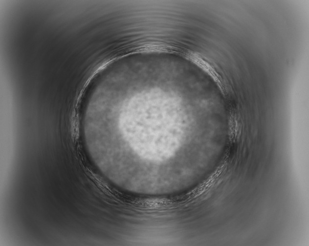 X0000095941067200802081232