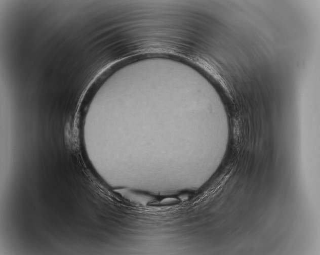 X0000095941068200802081232