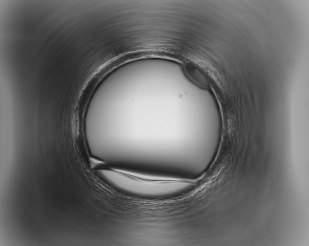 X0000095941069200802081232