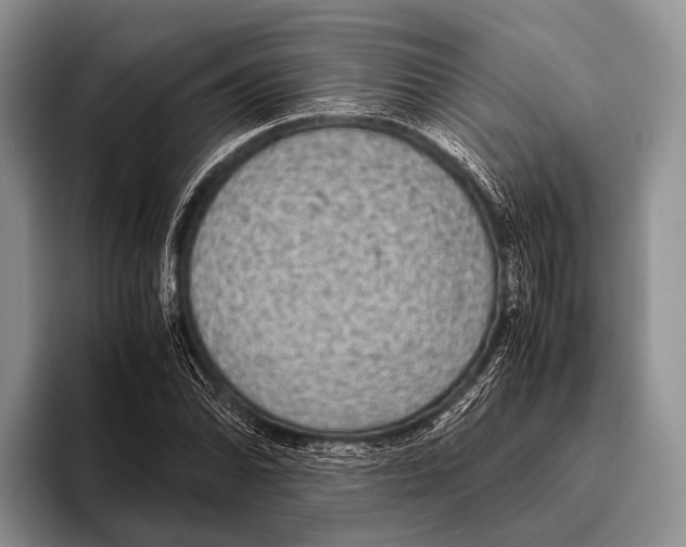 X0000095941070200802081232