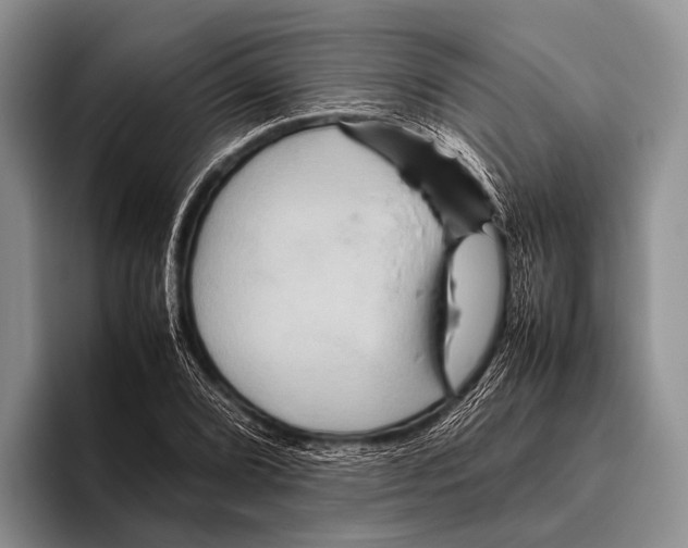 X0000095941072200802081232