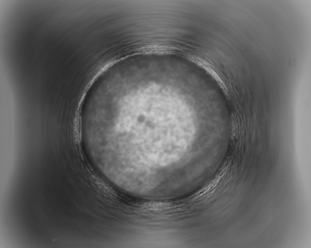 X0000095941075200802081232