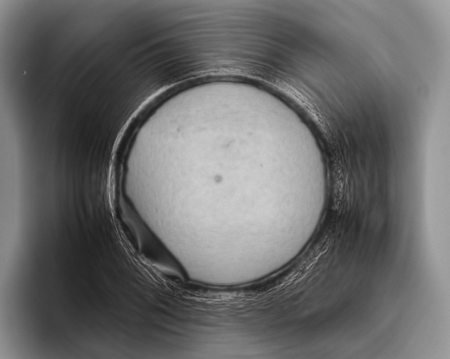 X0000095941076200802081232