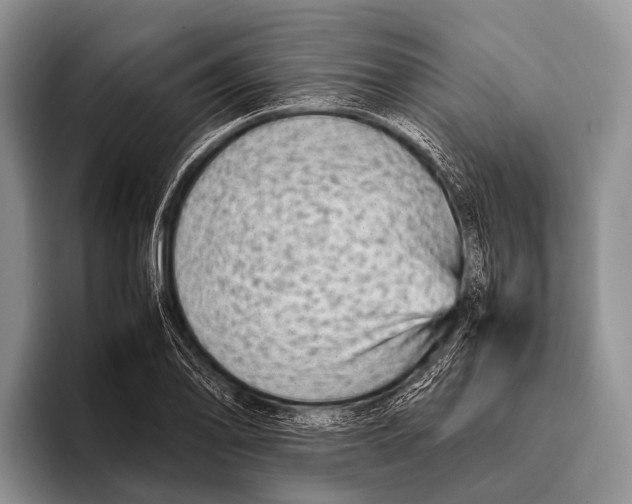 X0000095941078200802081232