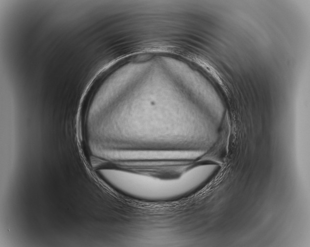 X0000095941080200802081232