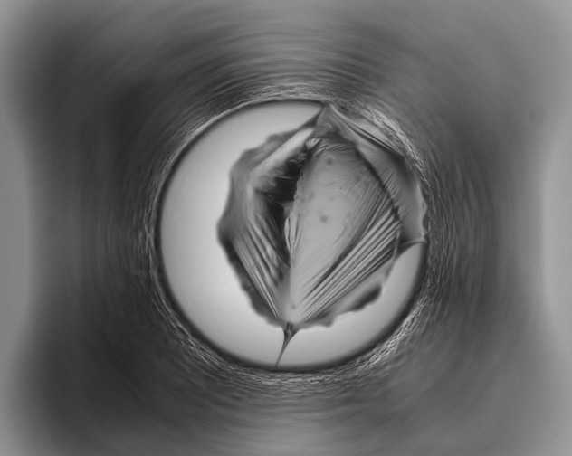 X0000095941081200802081232